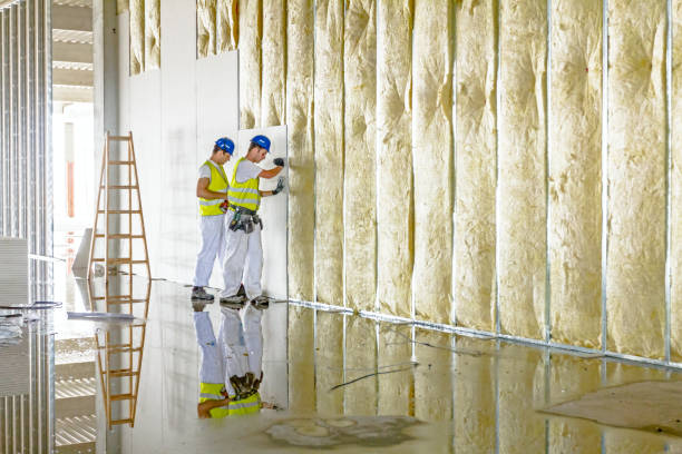 Insulation Replacement Services in Santa Cruz, CA